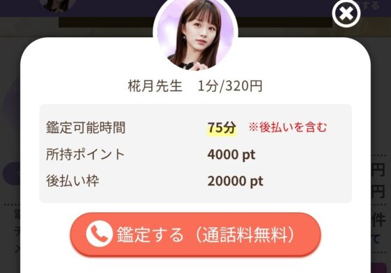 ヴェルニで占い師に電話をする方法