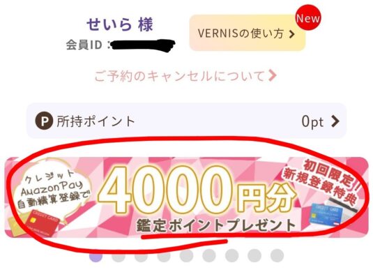 ヴェルニの無料ポイントを手に入れよう