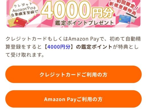 ヴェルニの無料ポイントの入手方法